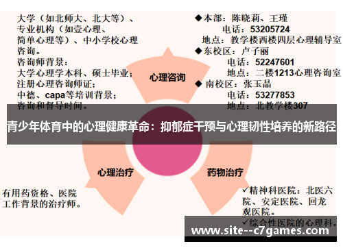 青少年体育中的心理健康革命：抑郁症干预与心理韧性培养的新路径