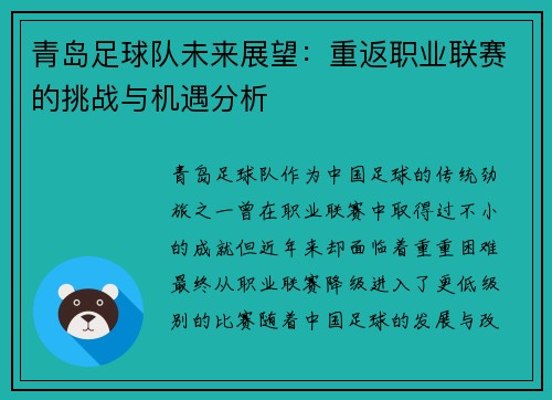 青岛足球队未来展望：重返职业联赛的挑战与机遇分析